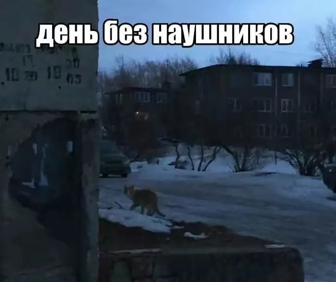день без наушников