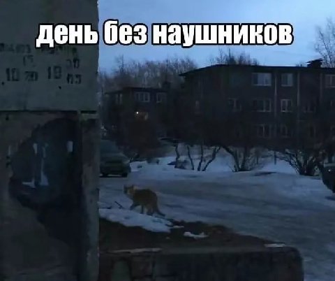 день без наушников
