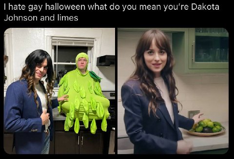 hate gay halloween what you mean you're Dakota Johnson and limes 14 У