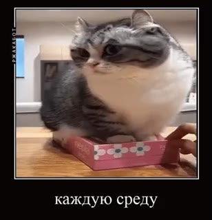 каждую среду