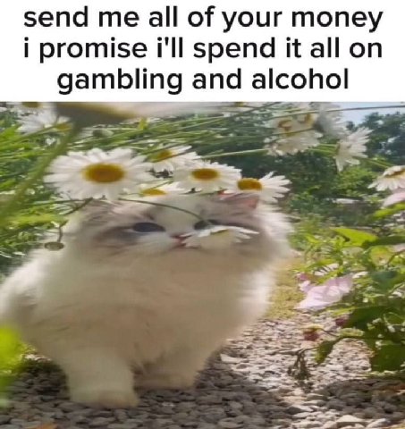 send all of your money promise i'll spend it all on gambling and alcohol