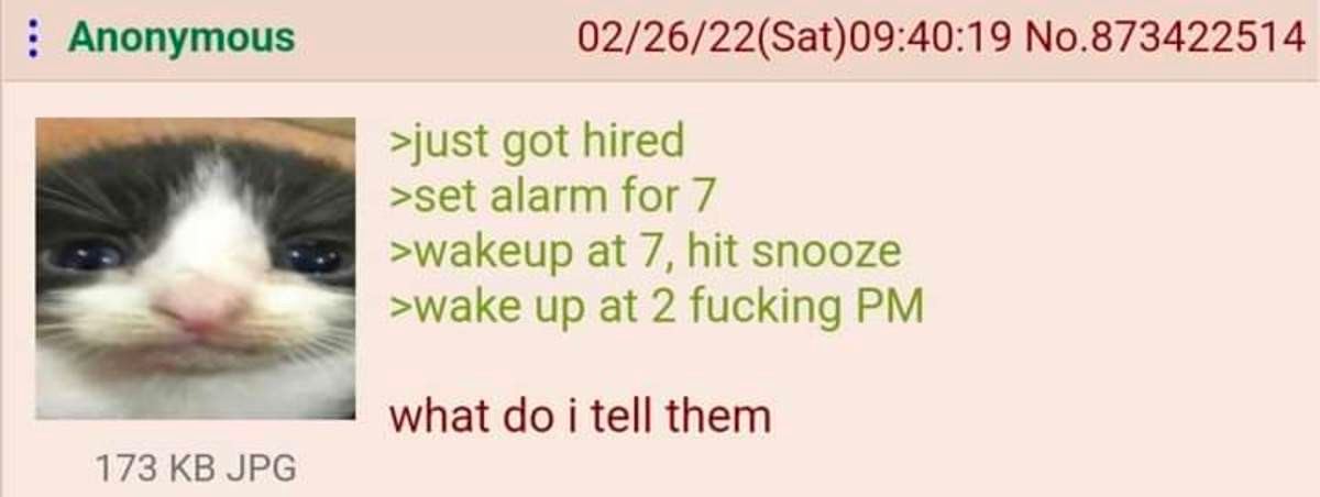 Anonymous 02/26/22($а{) 09:40:19 No.873422514 got hired >set alarm for 7 at 7, hit snooze >\МаКе up at 2 fucking what i tell them 173 JPG
