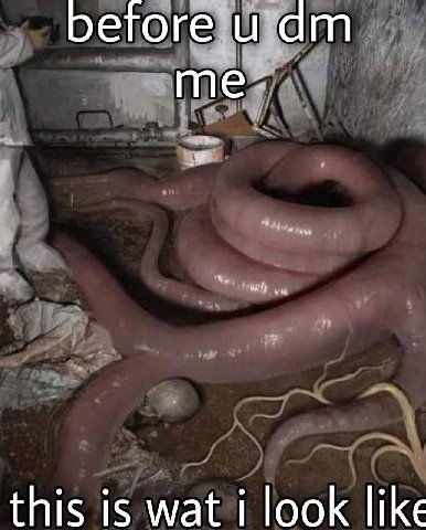 facts