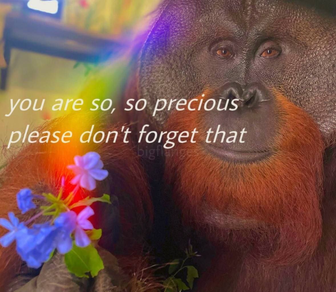 so forget that