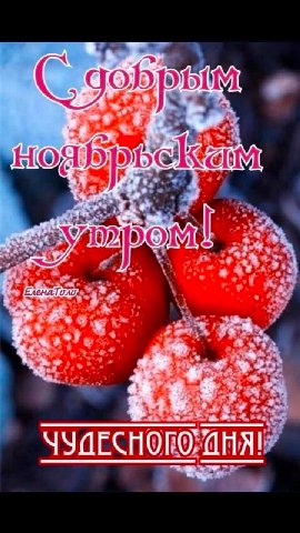 ж 1%