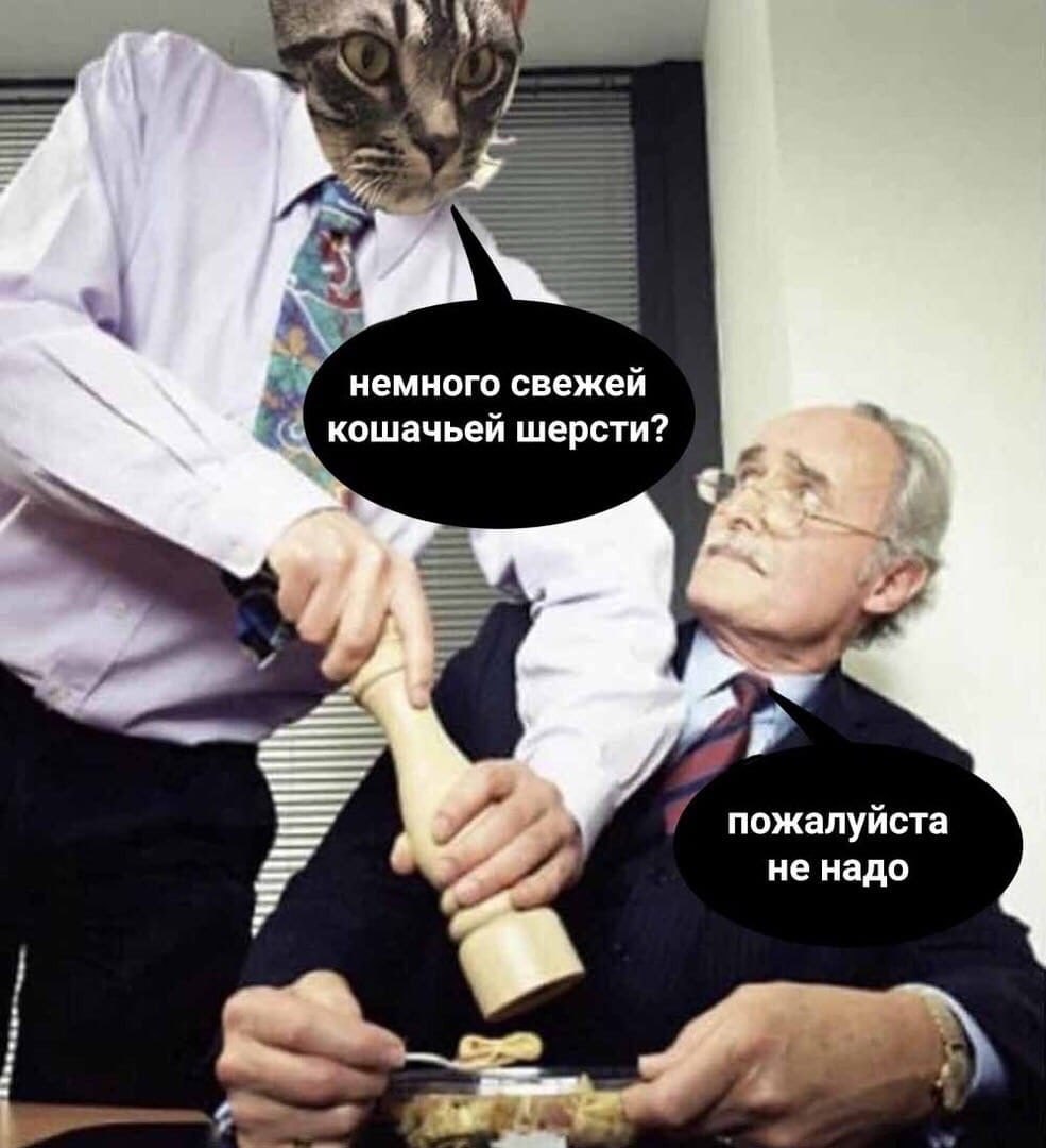 4 немного свежей кошачьей шерсти? пожалуйста не надо
