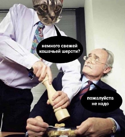 4 немного свежей кошачьей шерсти? пожалуйста не надо
