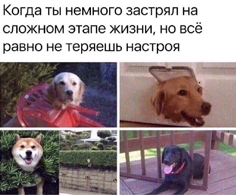 Когда ты немного застрял на сложном этапе жизни, но всё равно не теряешь настроя