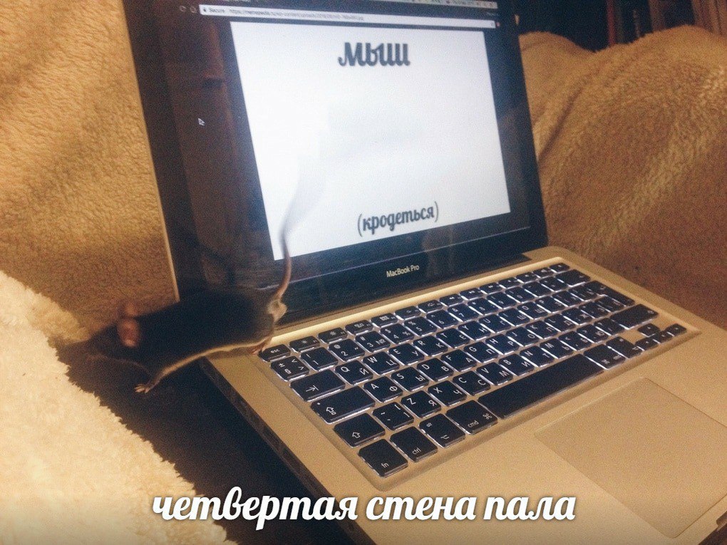 тая стена пала