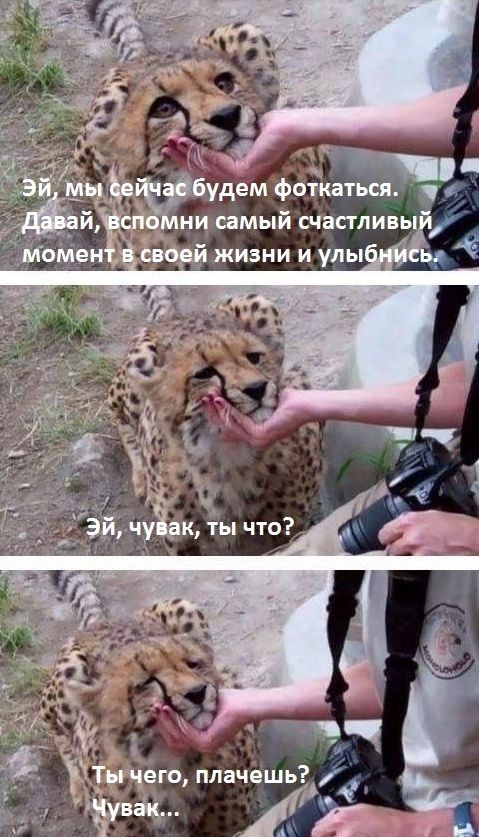 мы сейчас будем фоткаться. Давай, вспомни самый счастливый, момент в своей жизни и улыбнись. чувак, ты что? Ты чего, плачешь? Чувак...