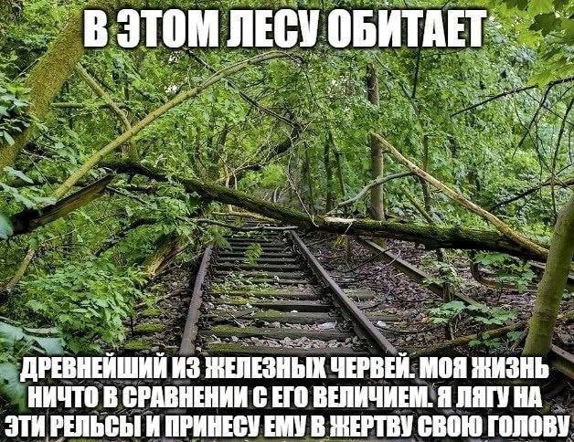 ЛЕСУ ДРЕВНЕЙШИЙ ИЗ НЕЛЕЗНЫХ ЧЕРВЕЙ. МОЯ ЖИЗНЬ НИЧТО В СРАВНЕНИИ С ЕГО ВЕЛИЧИЕМ. Я ЛЯГУ ЭТИ РЕЛЬСЫ И ПРИНЕСУ ЕМУ В ЖЕРТВУ СВОЮ ГОЛОВУ