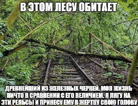 ЛЕСУ ДРЕВНЕЙШИЙ ИЗ НЕЛЕЗНЫХ ЧЕРВЕЙ. МОЯ ЖИЗНЬ НИЧТО В СРАВНЕНИИ С ЕГО ВЕЛИЧИЕМ. Я ЛЯГУ ЭТИ РЕЛЬСЫ И ПРИНЕСУ ЕМУ В ЖЕРТВУ СВОЮ ГОЛОВУ