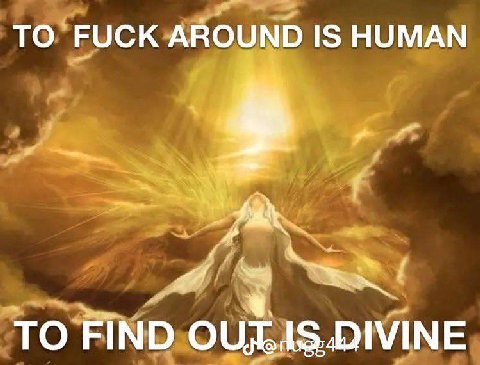 ТО FUCK AROUND IS HUMAN TO FIND