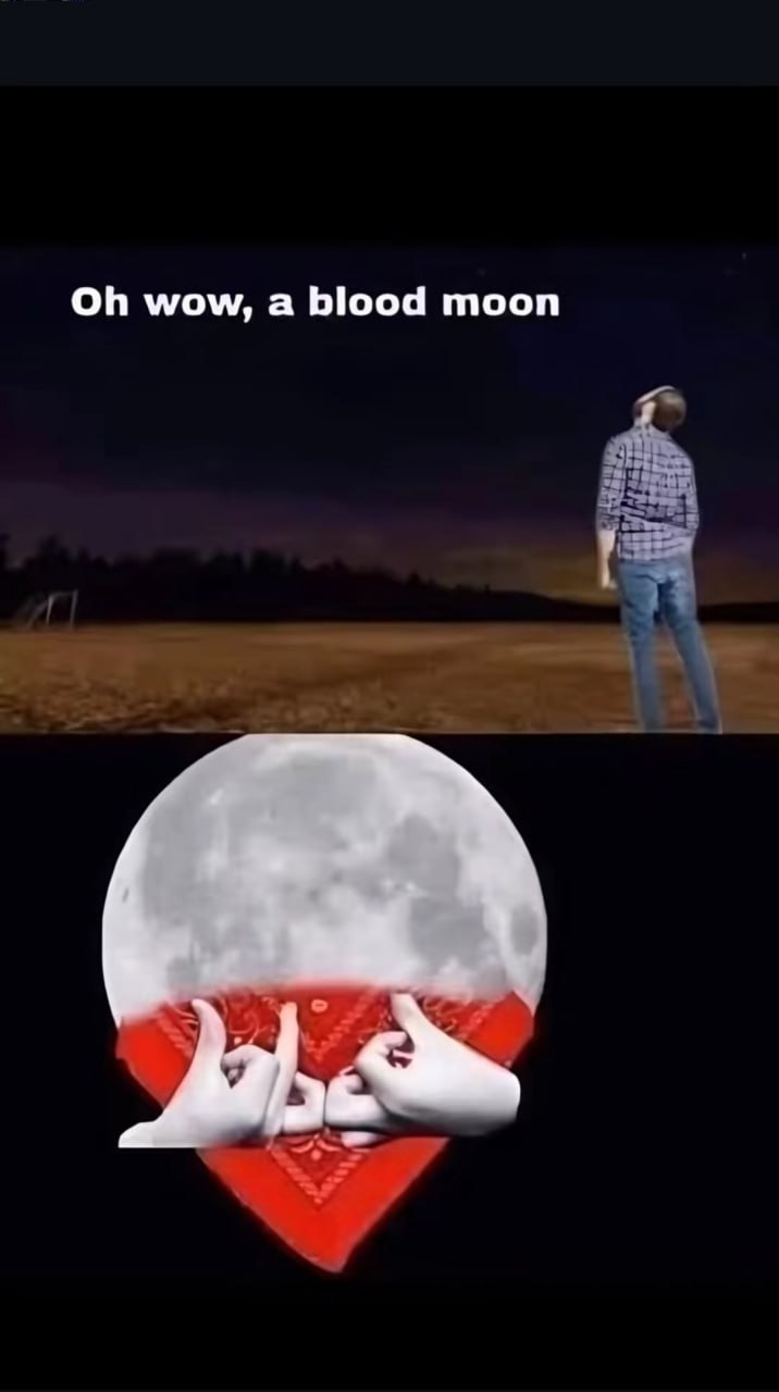 МЕМЫ ОТ БИМО