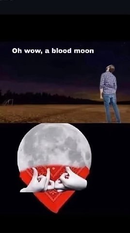 МЕМЫ ОТ БИМО