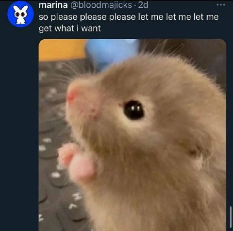 marina @bloodmajicks so please please please let me let me let get what i want