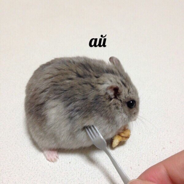ай e