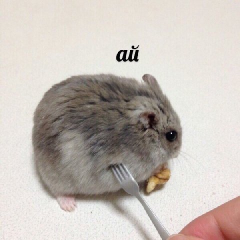 ай e