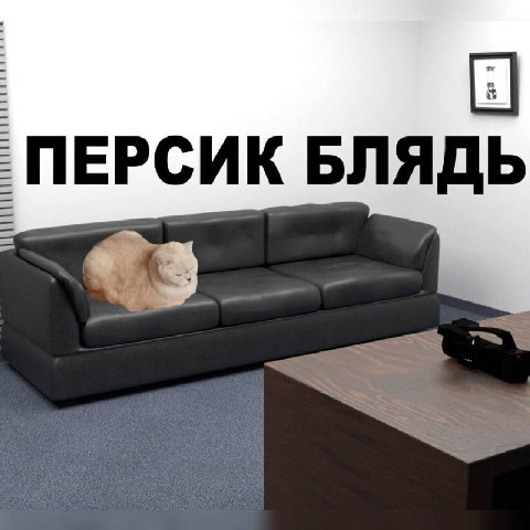 ПЕРСИК БЛЯДЬ