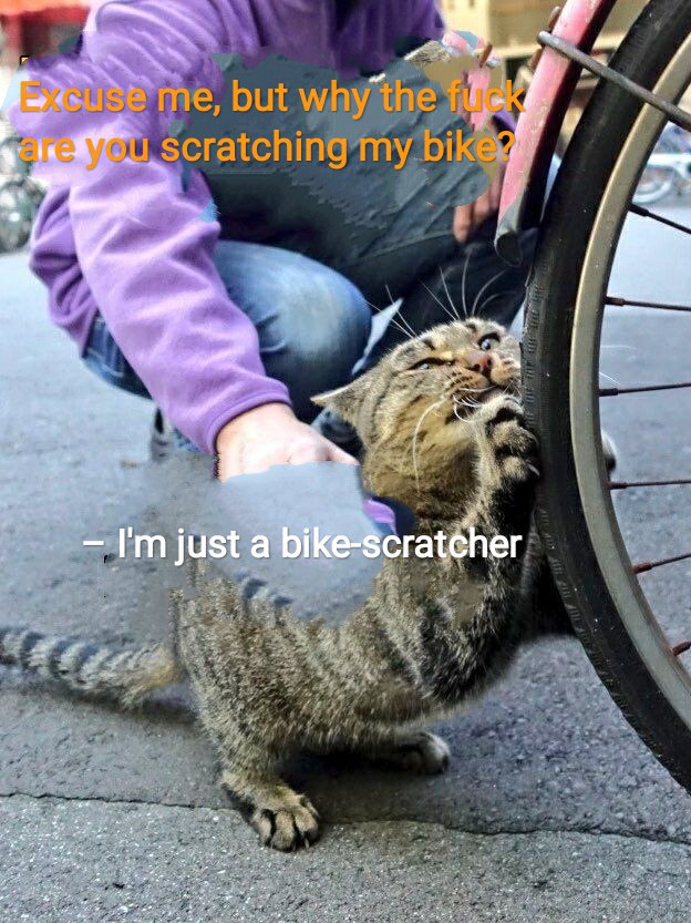 just a bike-scratcher