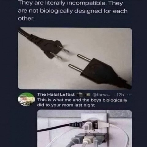 They are literally incompatible. They are not biologically designed for each other. The Halal Leftist This is what me and the boys biologically did to your mom last night |1