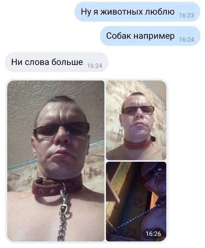 Ну я животных люблю Собак например Ни слова больше 6:24 6 16:26