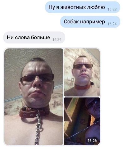 Ну я животных люблю Собак например Ни слова больше 6:24 6 16:26