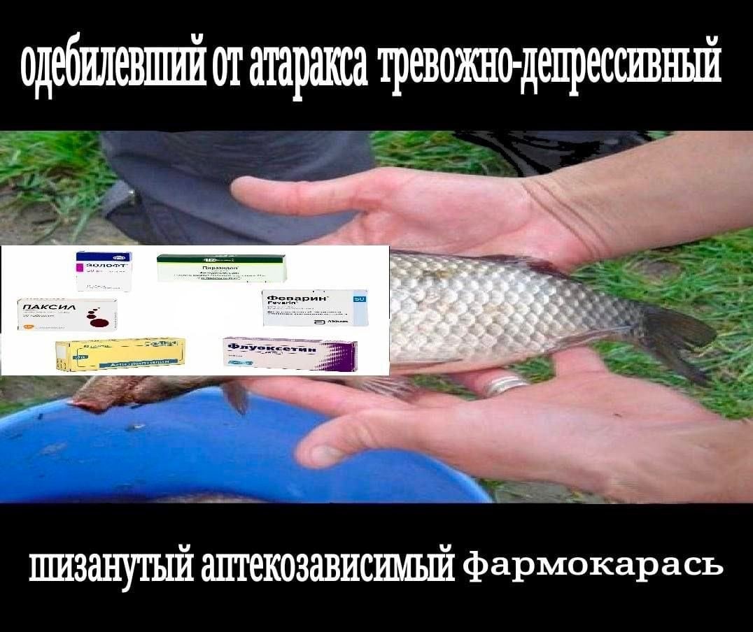 атаракса ШИЗАНУТЫЙ АПТЕКОЗАВИСИМЫЙ Фармокарась