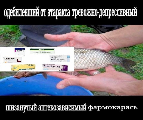 атаракса ШИЗАНУТЫЙ АПТЕКОЗАВИСИМЫЙ Фармокарась