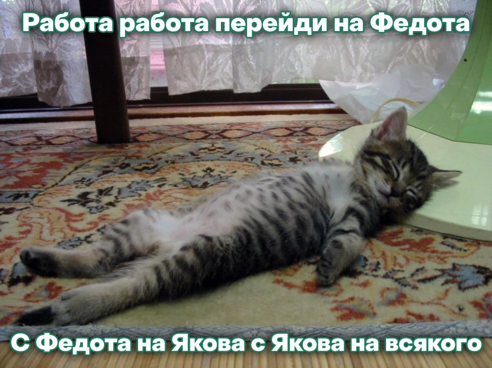 Работа работа перейди на Федота 2. и С Федота на Якова с Якова на всякого