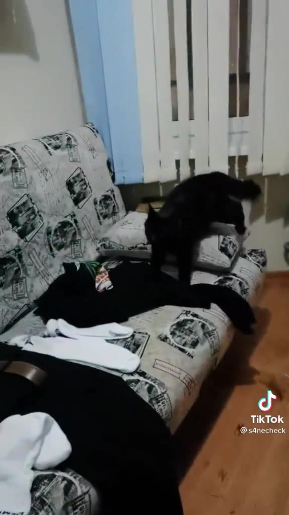 TikTok s4necheck