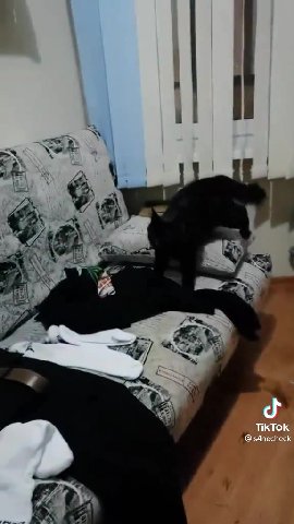 TikTok s4necheck