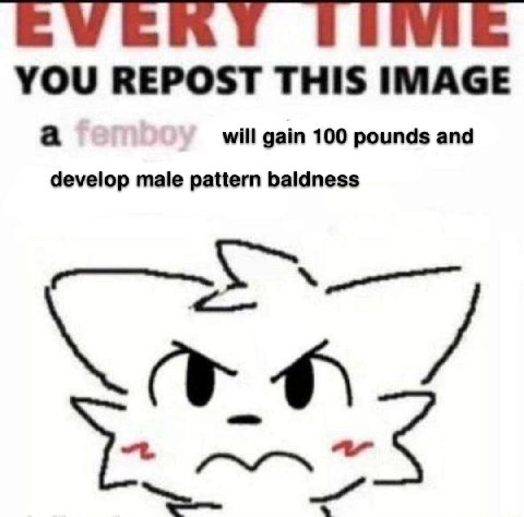 EVERY YOU REPOST THIS IMAGE a will gain 100 pounds and develop male pattern baldness