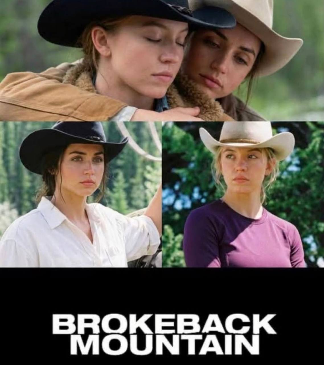 BROKEBACK MOUNTAIN