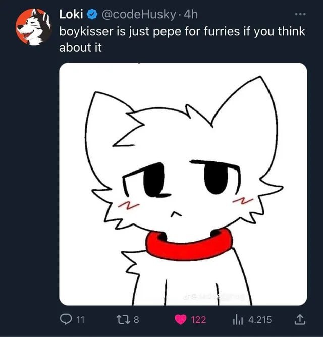 is 1 Loki @codeHusky boykisser is just pepe for furries if you think about it 11 4.215