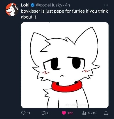 is 1 Loki @codeHusky boykisser is just pepe for furries if you think about it 11 4.215