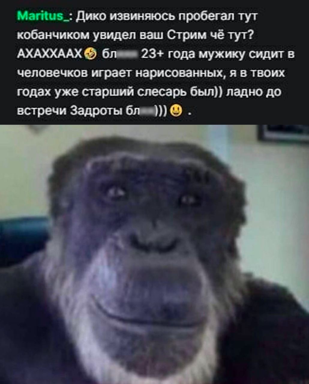 Дико извиняюсь пробегал тут кобанчиком увидел ваш Стрим че тут? АХАХХААХ 23+ года мужику сидит в человечков играет нарисованных, я в твоих годах уже старший слесарь был}) ладно до встречи Задроты