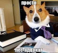 просто BOK