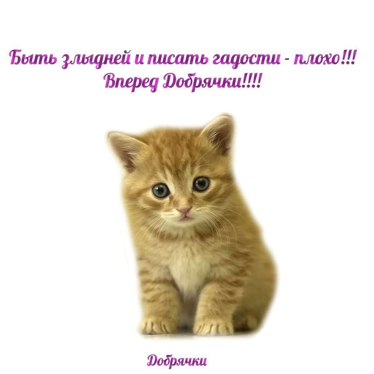 Фыть и писать гадости Вперед Фодрячки!!!!