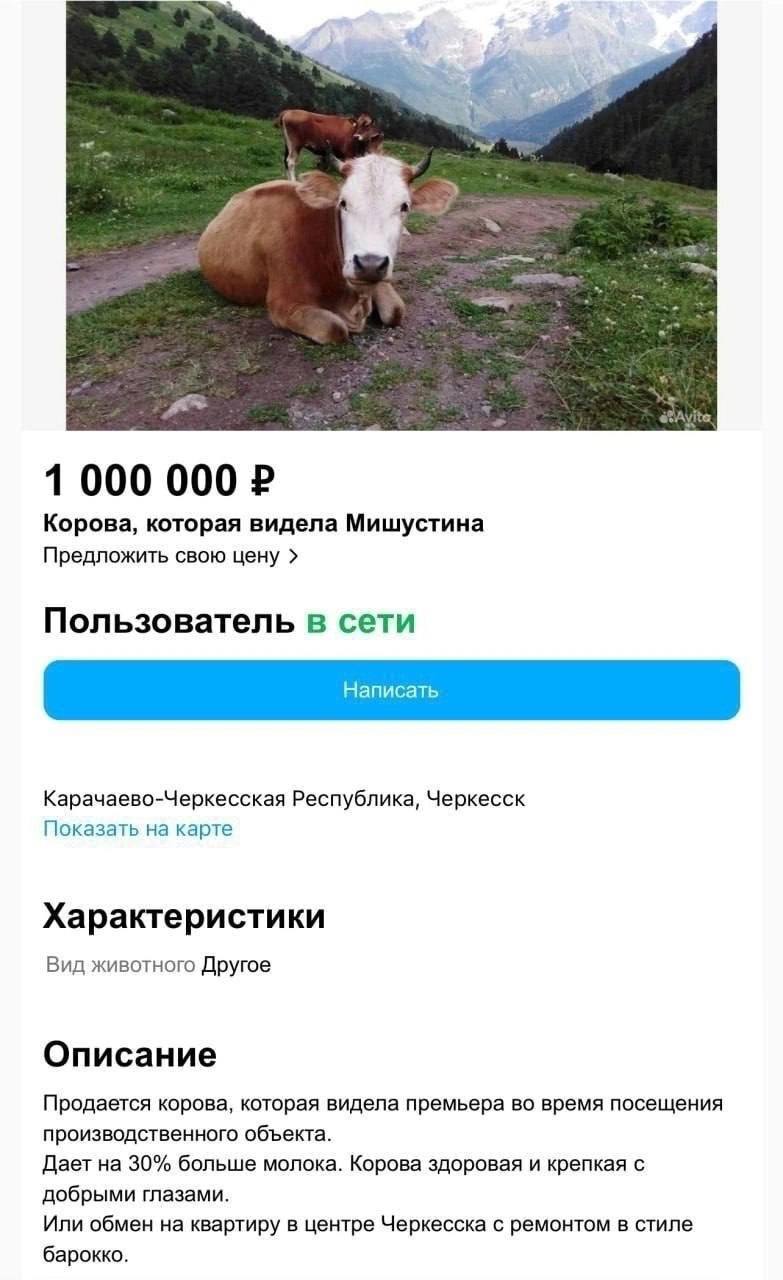 …и теперь может задавать математические задачки