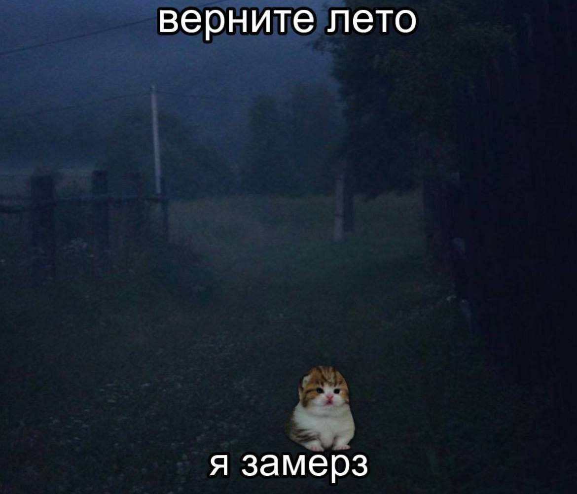 верните лето я замерз