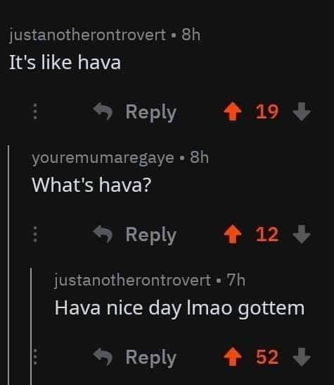 justanotherontrovert It's like hava 4 19 Reply youremumaregaye What's hava? 4124 Reply justanotherontrovert Hava nice day Imao gottem 4 52 4 Reply