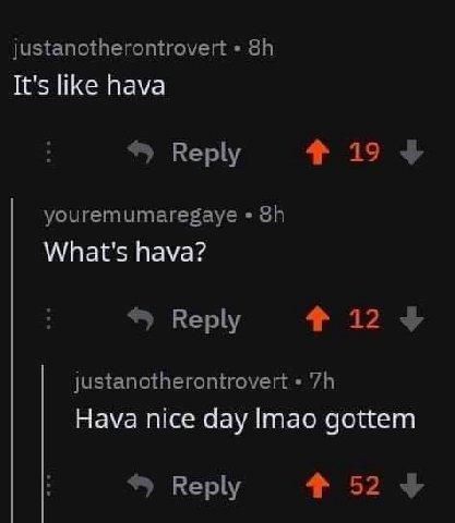 justanotherontrovert It's like hava 4 19 Reply youremumaregaye What's hava? 4124 Reply justanotherontrovert Hava nice day Imao gottem 4 52 4 Reply