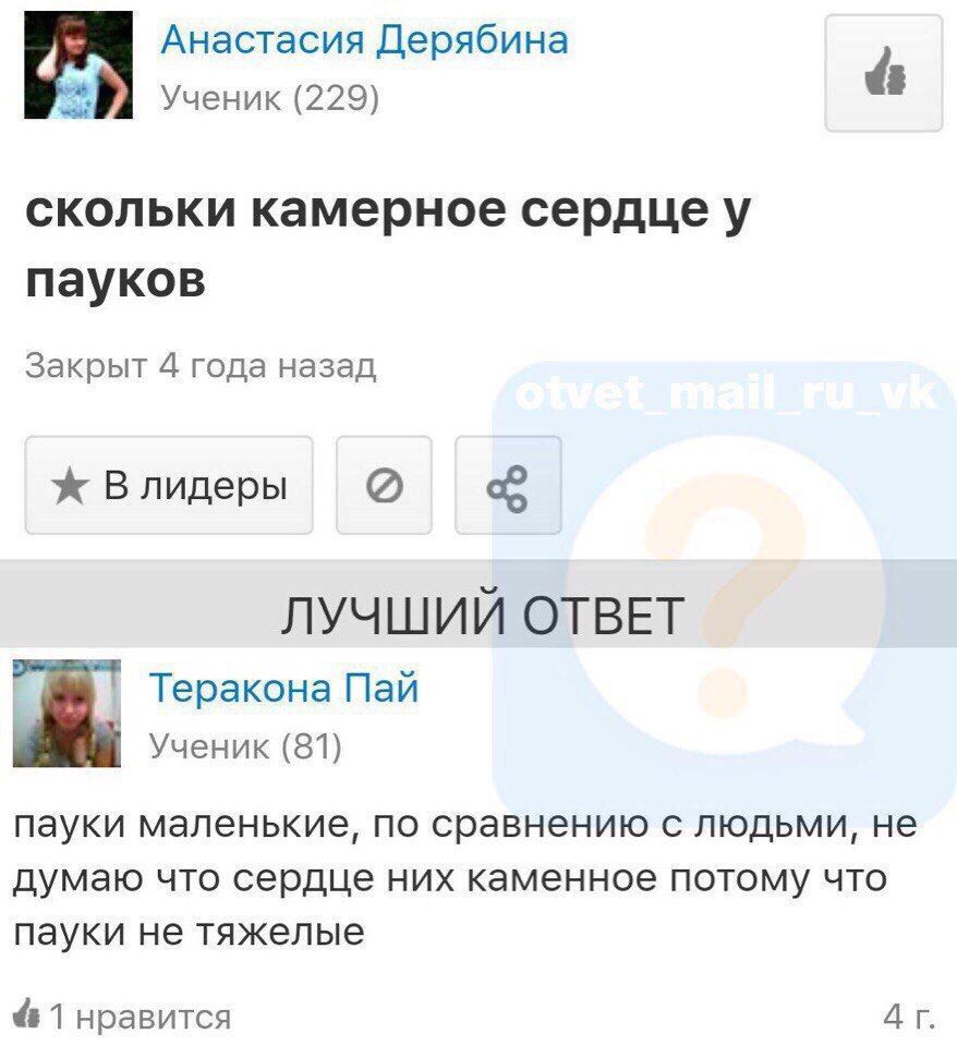 Анастасия Дерябина Ученик (229) скольки камерное сердцеу пауков Закрыт 4 года назад ж Влидеры ЛУЧШИЙ ОТВЕТ Теракона Пай Ученик (81) пауки маленькие, по сравнению с людьми, не думаю что сердце них каме