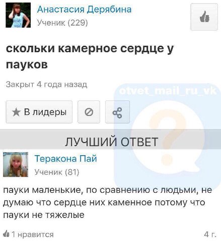 Анастасия Дерябина Ученик (229) скольки камерное сердцеу пауков Закрыт 4 года назад ж Влидеры ЛУЧШИЙ ОТВЕТ Теракона Пай Ученик (81) пауки маленькие, по сравнению с людьми, не думаю что сердце них каме