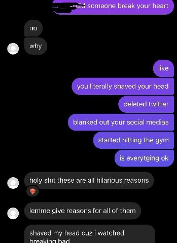 Someone break your heart no why like you literally shaved your head deleted twitter blanked out your social medias started hitting the gym is everytging holy shit these are all hilarious reasons lemme