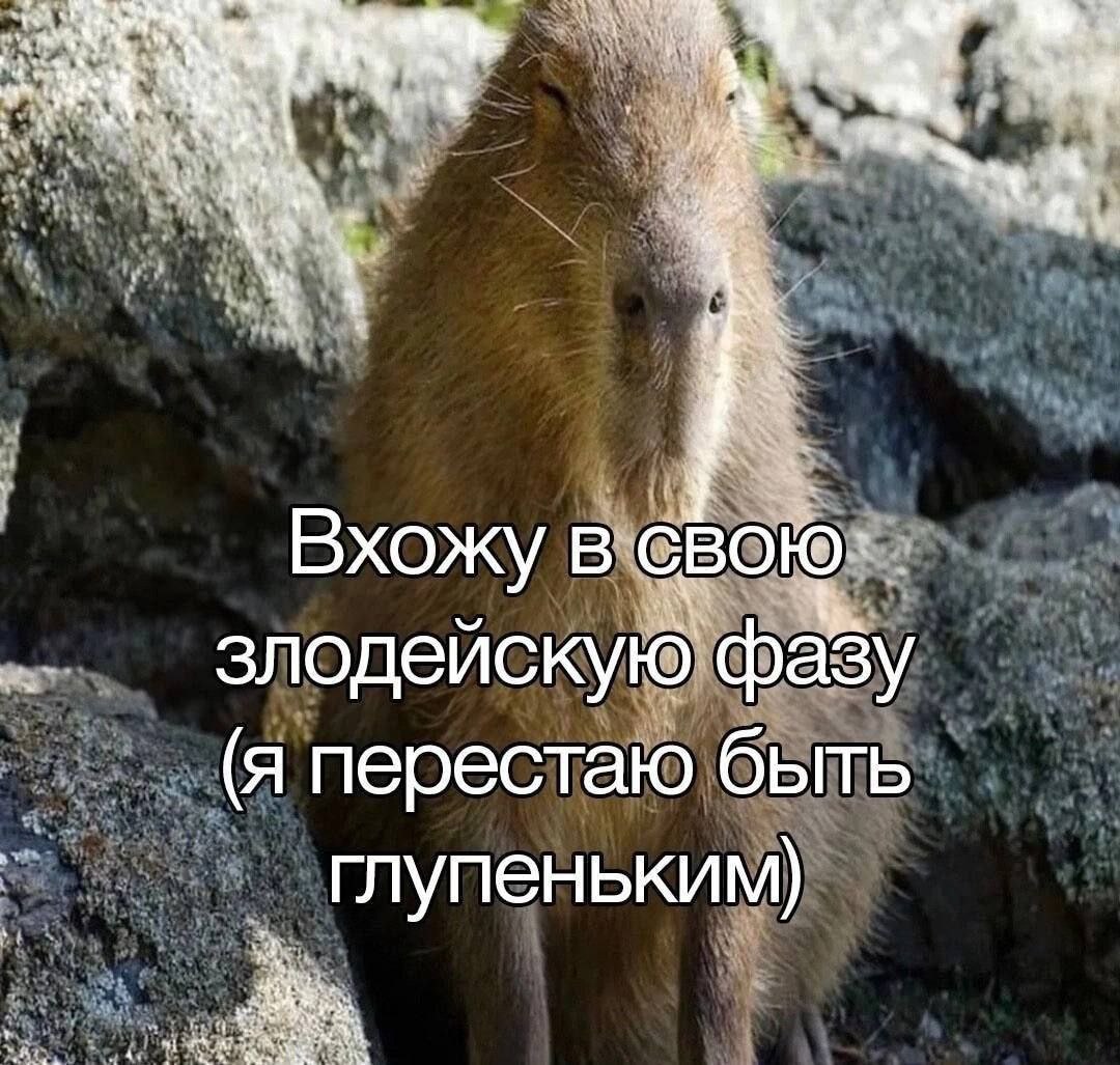 4% Вхожу в свою злодейскую фазу (я перестаю быть глупеньким)