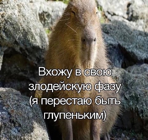 4% Вхожу в свою злодейскую фазу (я перестаю быть глупеньким)