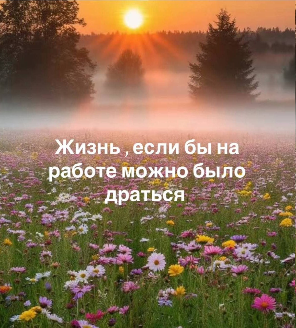 Жизнь ‚если бы на работе можно было драться