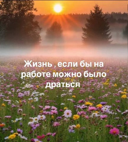 Жизнь ‚если бы на работе можно было драться